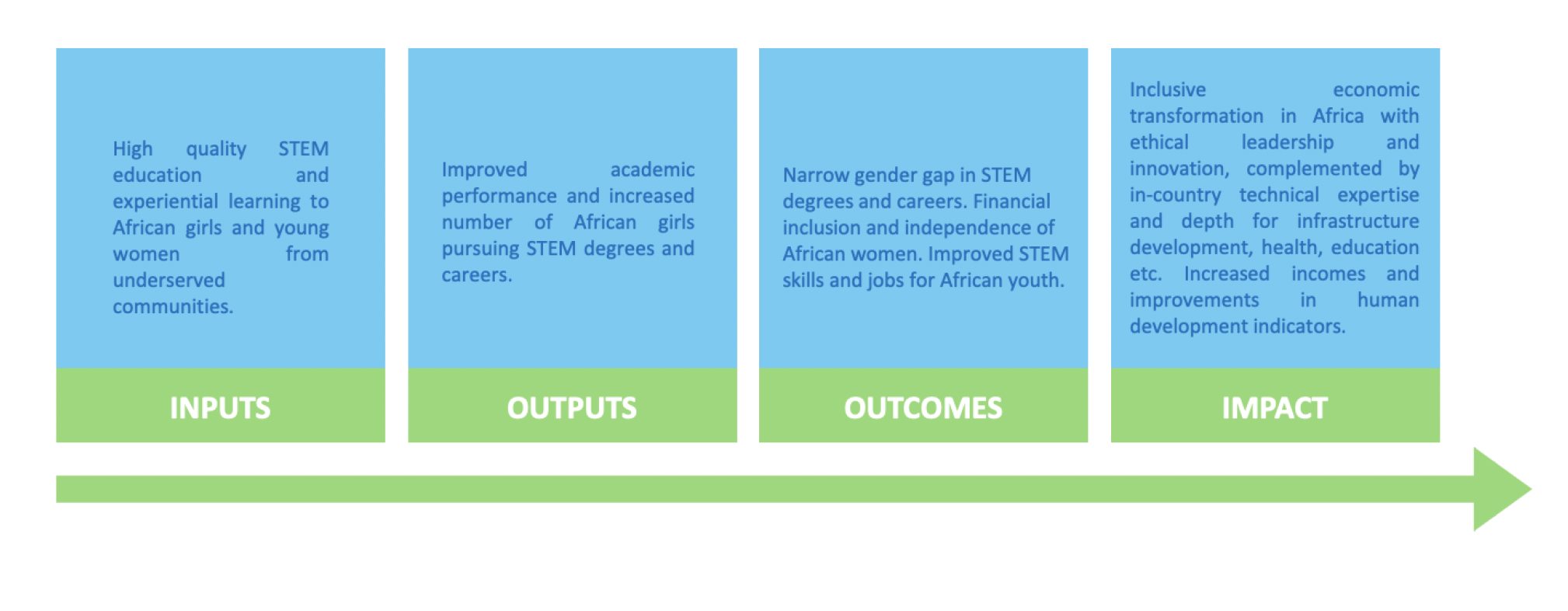 Visiola Foundation Theory of change